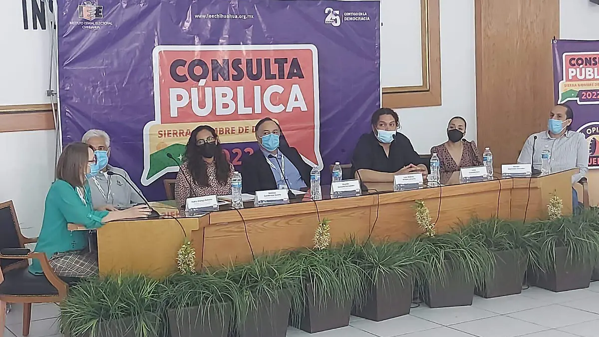 Consulta Pública